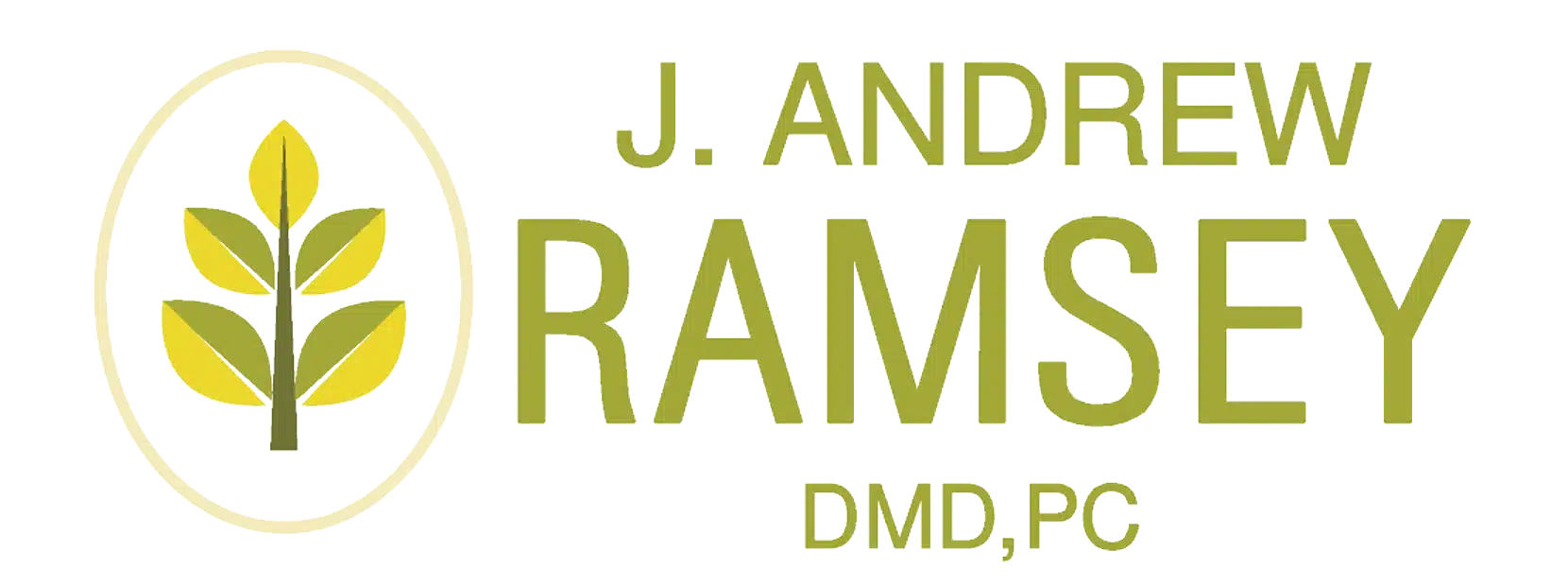J. Andrew Ramsey DMD, PC logo