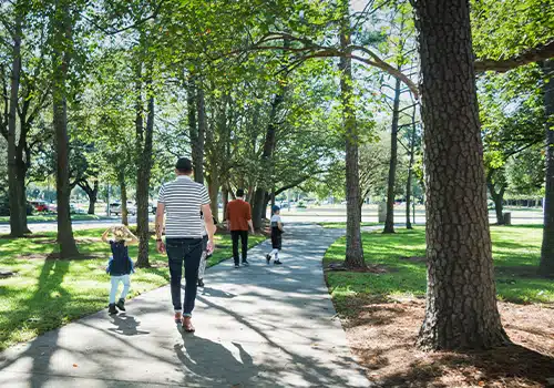 People taking a stroll in a park